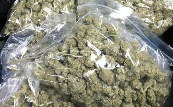 Naval Operation Intercepts 489kg of Cannabis in Lagos