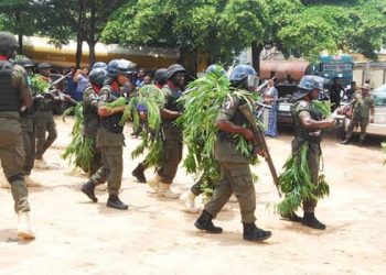 Police Nab Alleged Kidnappers, Murderers in Niger