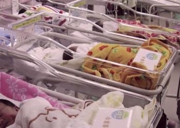 FG Moves to Strengthen Birth Registration, Gender Data