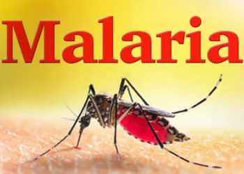 Malaria as an Economic Emergency: Building Resilience to succeed