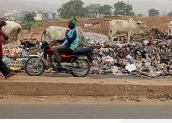 FCT Minister Urged to Address Pressing Issues in Abuja