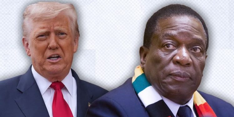 Zimbabwe Rejects Trump’s $367m Funding Package