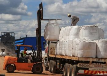 Trucks Blocked at Border as Zimbabwe Enforces Lithium Export Ban