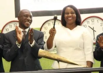 ARISE Honours Chinelo Anohu as Woman of Impact in Africa 2026