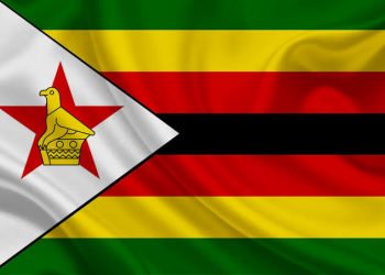 Zimbabwe Bans Exportation of Raw Minerals, Lithium