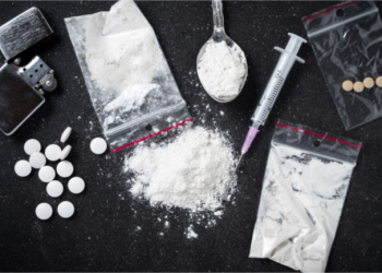 Kogi: NDLEA Arrests 339 Suspects, Seizes 7,746 Tonnes of Illicit Drugs