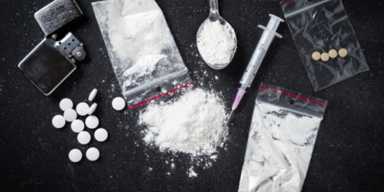 Kogi: NDLEA Arrests 339 Suspects, Seizes 7,746 Tonnes of Illicit Drugs