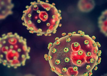 Lassa Fever Kills Doctor, Three Others In Plateau