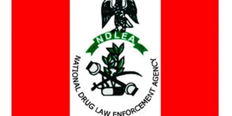 NDLEA Seizes 9, 939kg of Illicit Drugs in Six States’ Raids