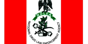 NDLEA Nabs London-bound Estate Surveyor With 1.70 kg of Skunk at Lagos Airport