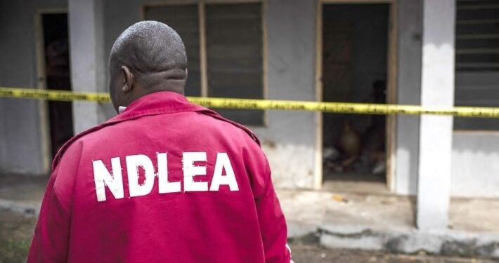 NDLEA Arrests Lagos Real Estate CEO For Leading Drug Cartel