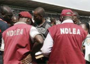 NDLEA Nabs China-bound Businessman For Ingesting 95 Wraps of Cocaine