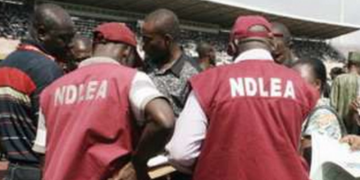 NDLEA Nabs China-bound Businessman For Ingesting 95 Wraps of Cocaine