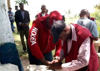 NDLEA Urges Tertiary Institutions in Kano to Adopt Drug Prevention Policies