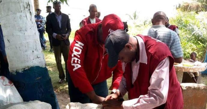 NDLEA Urges Tertiary Institutions in Kano to Adopt Drug Prevention Policies