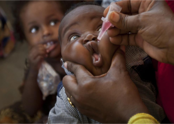 Immunisation Drive Yielded 174 Million Doses, Boosts PHC Uptake – NPHCDA