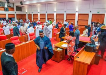 Nigeria Can’t Transmit Poll Results in Real Time; Senate’s Decision Based on Verifiable Data – Bamidele