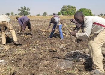 FG Targets 1,000 Katsina Farmers For Free Agricultural Inputs