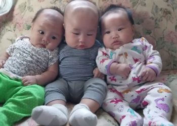 South Korea’s Fertility Rate Rises to Four-year High