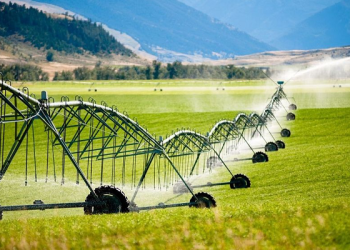 Iran Launches Smart Irrigation Drive Across 10,000 Hectares
