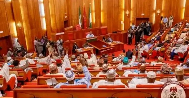 JUST IN: President Tinubu Requests Senate to Confirm Oyedele,  Magnus Abe as Minister, NUPRC Chair