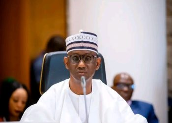 DWI Backs Ribadu, Faults Williams’ Call for Security Overhaul