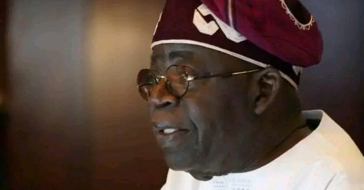 Northern Youths Reject ‘Entitlement Politics’, Back Tinubu Second Term Bid