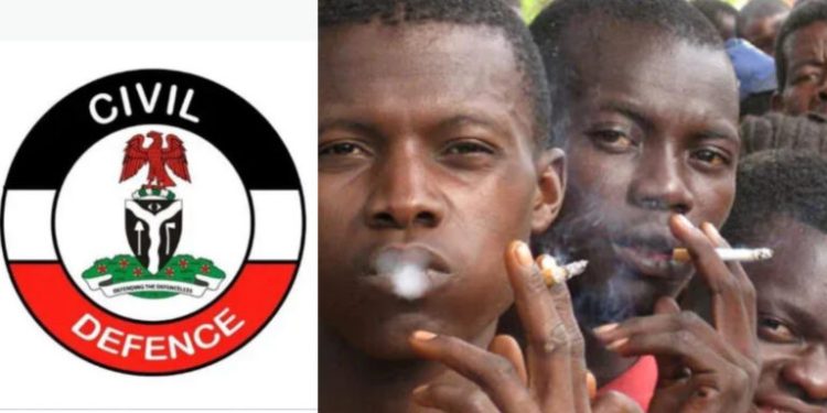 NSCDC: Drug Abuse Poses Serious Threat to Jigawa’s Social Stability