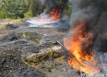 Navy Destroys Illegal Crude Oil Storage Site in Rivers