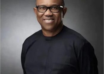 Village Boys Movement Urges ADC to Hand Presidential Ticket to Peter Obi