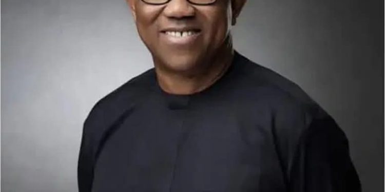 Village Boys Movement Urges ADC to Hand Presidential Ticket to Peter Obi