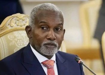 Foreign Affairs Minister Resigns to Pursue Bauchi Governorship Bid