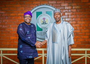 NEPZA and Borno Govt Join Forces to Revive Banki Free Trade Zone