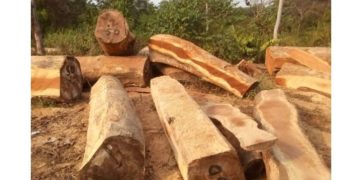 C’River Community Settles Logging Dispute with Ezemac International