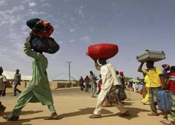 IOM: Over 3.7m Internally Displaced Persons Living in Nigeria