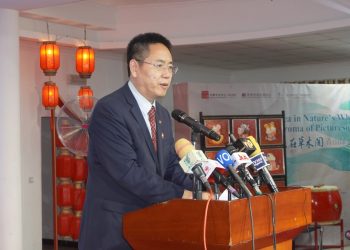 China-Nigeria Ties Grow Stronger with Tai Chi Diplomacy