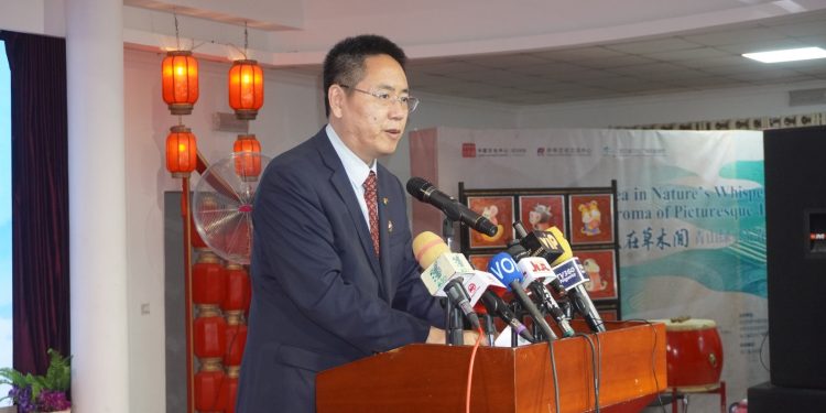 China-Nigeria Ties Grow Stronger with Tai Chi Diplomacy