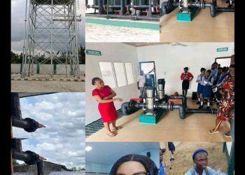 Succour for Ogoni Community as CEDSI, HYPREP Unveils Water Project