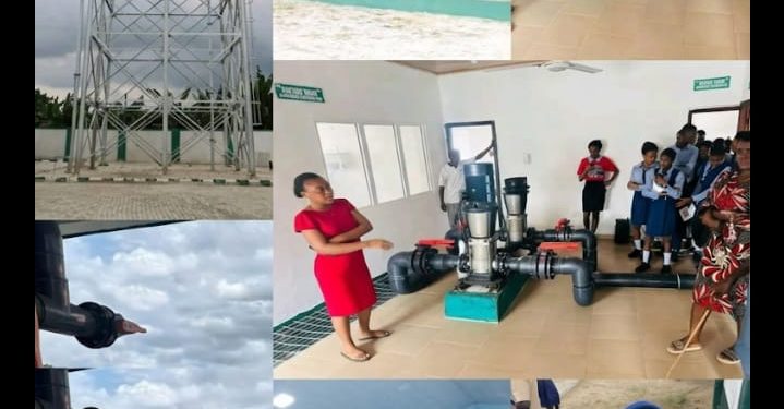 Succour for Ogoni Community as CEDSI, HYPREP Unveils Water Project