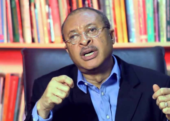 Pat Utomi Urges Review of Electoral Act