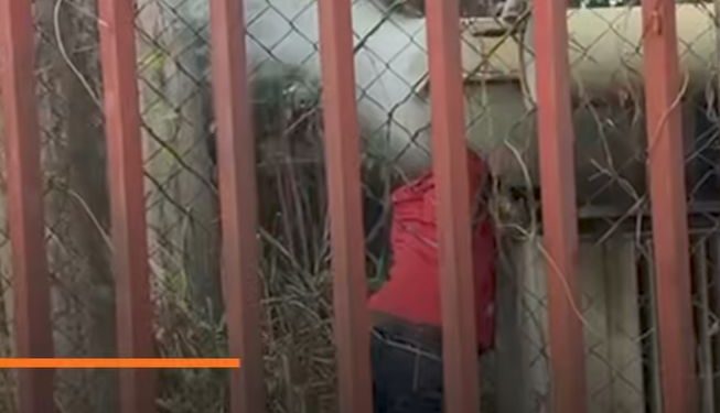 Suspected Cable Thief Electrocuted While Vandalising DisCo Substation in Enugu