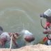 Two Teenagers Chased by Phone Thieves Drown in Kano River