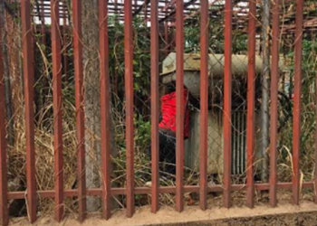 Suspected Cable Thief Electrocuted While Vandalising DisCo Substation in Enugu