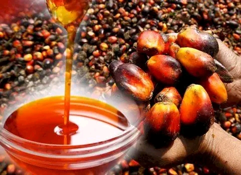 Nigeria Targets 2030 For Self Sufficiency in Palm Oil
