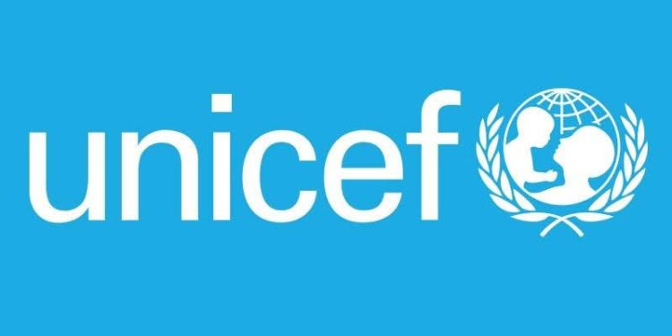 Bauchi, UNICEF Move for Better Childcare in First 1,000 Days of Birth