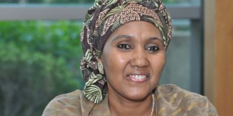 Northern Governors Sympathise with Ex-INEC Chair Over Wife’s Demise