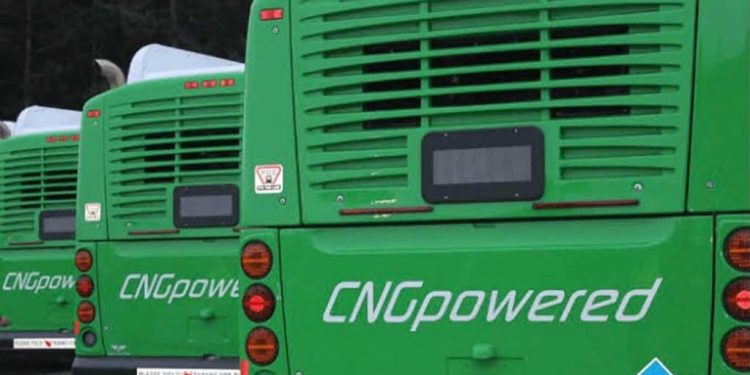 CNG Bus Vandaliser Apprehended in Niger