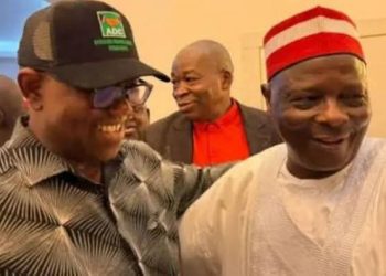NDC Woos Obi, Kwankwaso with Presidential Ticket Ahead of Primary Deadline