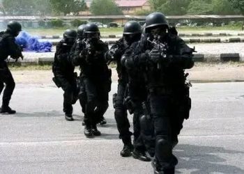 Police Foil Bandit Attacks in Sokoto, Recover 167 Rounds of Ammunition