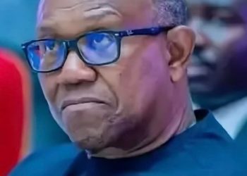 Obi Cannot Rejoin, Contest 2027 Election on Our Platform – LP Chair